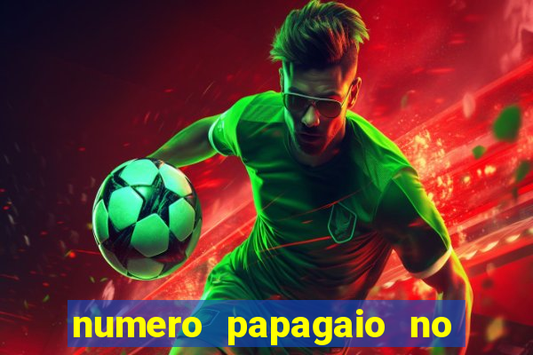 numero papagaio no jogo do bicho